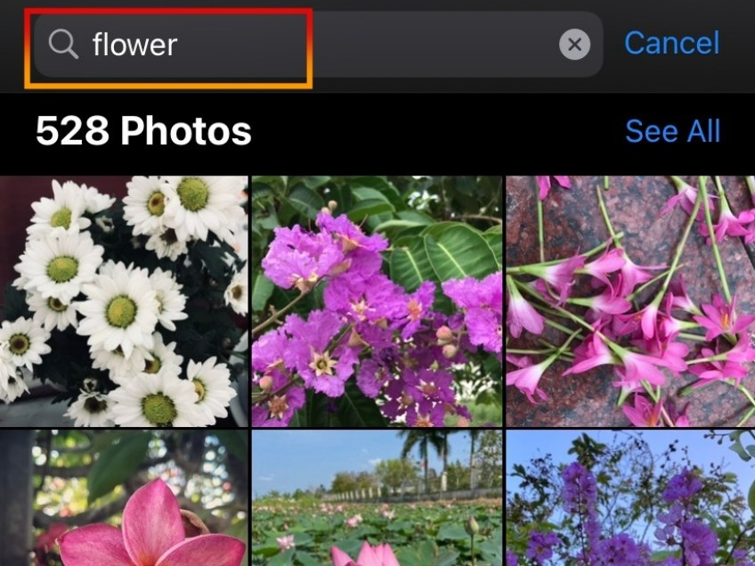 Tìm kiếm hình ảnh trên ứng dụng Photos